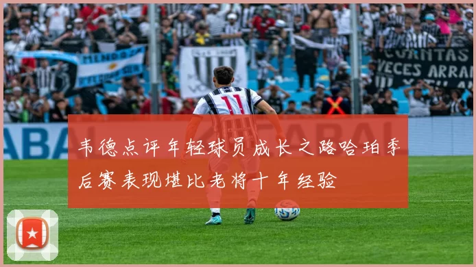韦德点评年轻球员成长之路哈珀季后赛表现堪比老将十年经验