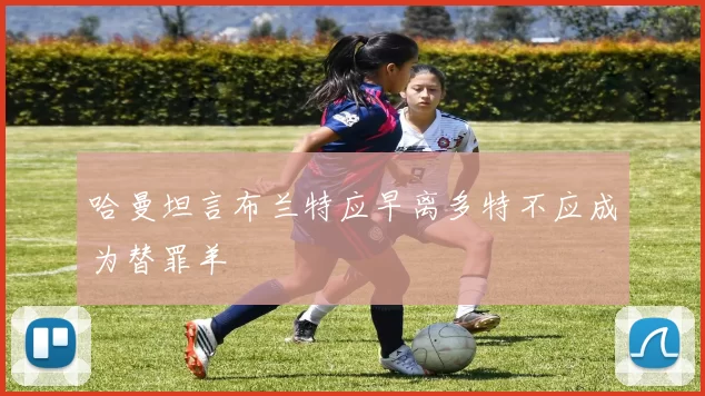 哈曼坦言布兰特应早离多特不应成为替罪羊