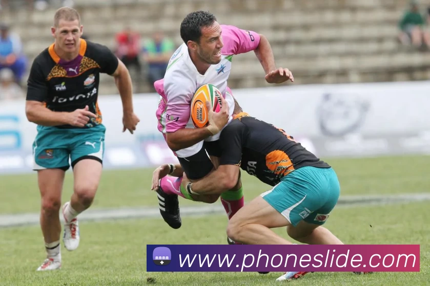平台展示图
